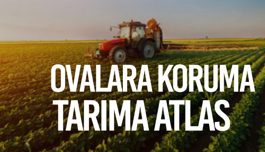 Tarım ve Orman Bakanlığı tarla ve araziler için yeni yönetmelik hazırlıyor... Veri tabanı oluşturularak araziler sınıflandırılacak