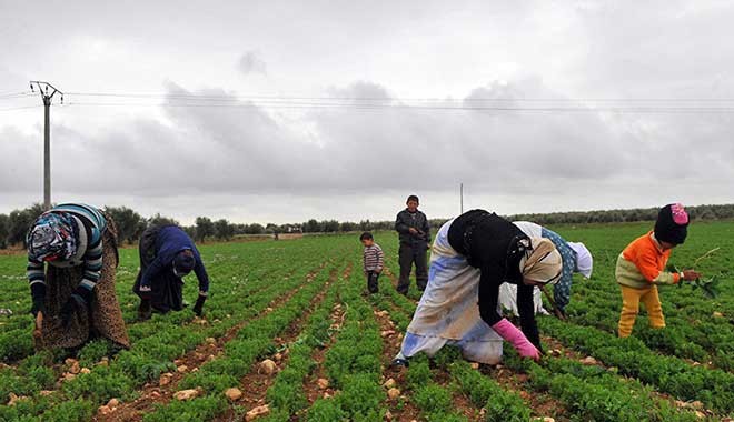 TÜİK: Tarımda üretim maliyeti yüzde 27 arttı