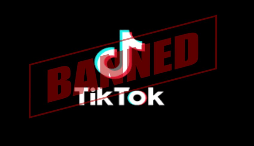 TikTok'a bir yasak da Hollanda'dan