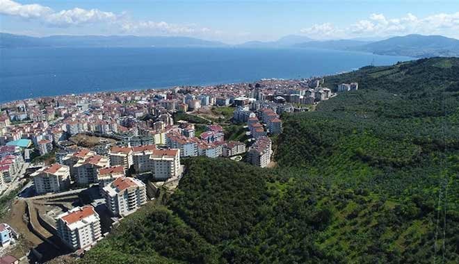 Zeytinliklere yapılan binlerce konut yıkılacak mı!