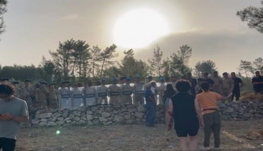 “Akbelen'de 65 bin adet ağacın kesildiği anlaşılıyor”