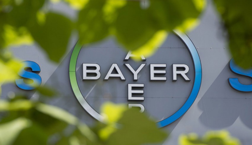 Alman ilaç devi Bayer binlerce kişiyi işten çıkaracak