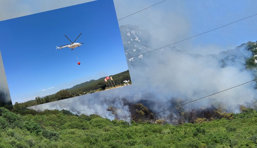 Antalya'nın Demre ve Aksu ilçesinde orman yangını