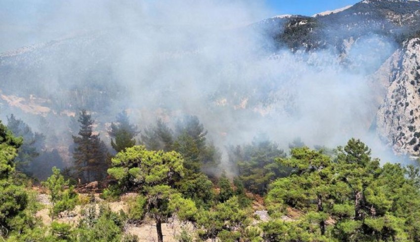 Antalya'nın Kaş ilçesinde orman yangını çıktı