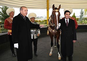 Cumhurbaşkanı Erdoğan'ın atları için At Saray yapılıyor