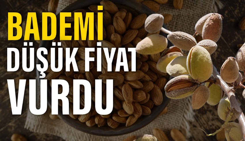 Badem fiyatları, girdi maliyetleri nedeniyle çiftçilerin beklentilerini karşılamıyor