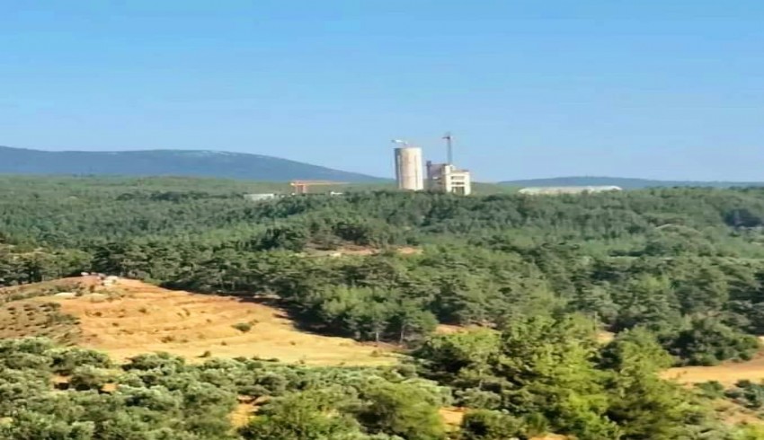 Belediye ormandaki çimento fabrikasının ruhsatını iptal etti