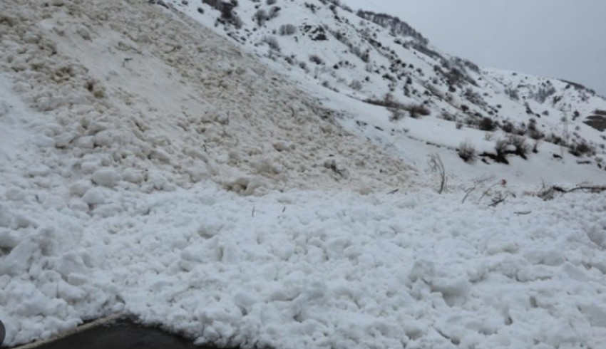 Bingöl'de çığ altında kalan kişi için kurtarma çalışması başlatıldı