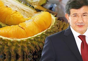 Davutoğlu'nun 100 dolarlık enerji meyvesi