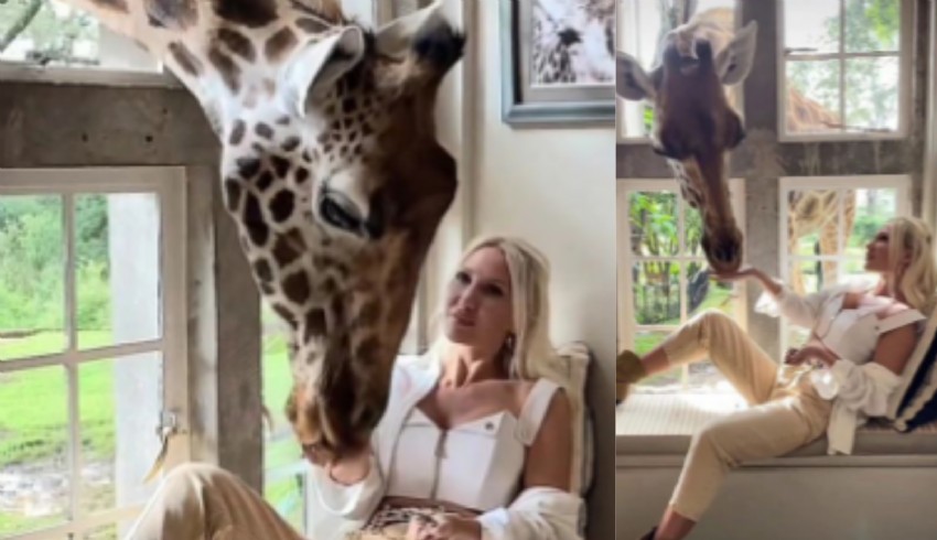 Dilek Arslan Dilber zürafa hayalini Kenya'da gerçekleştirdi