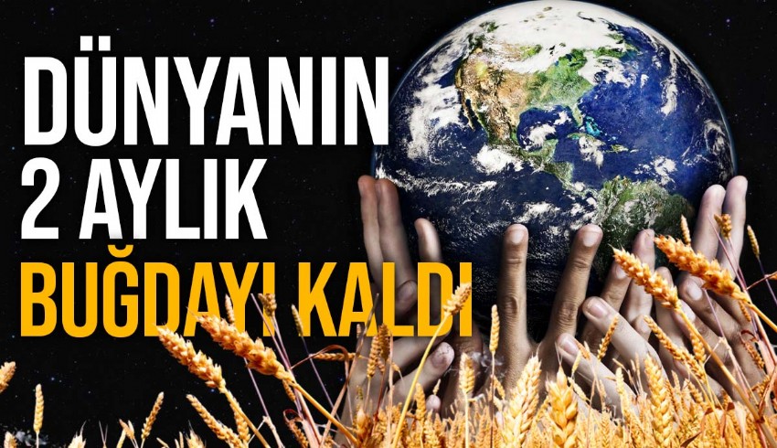 Dr. Eren Günhan Ulusoy, dünyanın 2 aylık buğday devir stoğu kaldığını vurguladı...265 milyon tonluk buğday stokunun yarısından fazlası, 135 milyon tonu Çin’in elinde