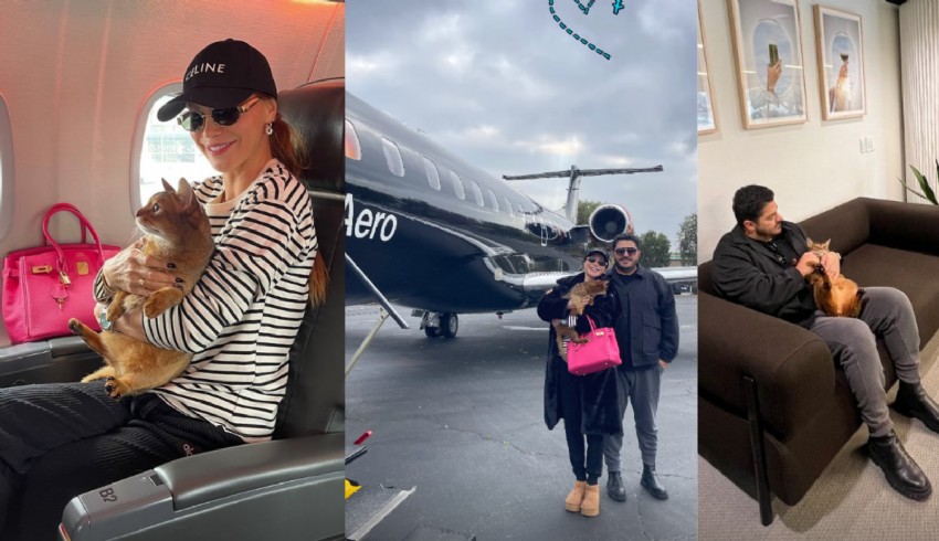Ebru Şallı ve Uğur Akkuş çifti kedileri Tommy'yi de özel jetle uçurdu