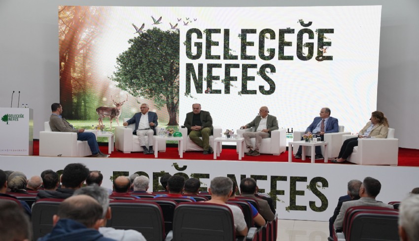 Eski maden sahaları ağaçlandırılıyor