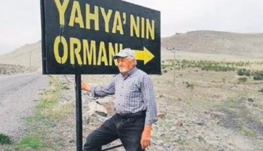 Fidan dikme aşkıyla 12 saat ormanda