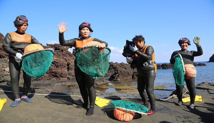 Güney Kore'nin kadınları ekmeğini denizden çıkartıyor