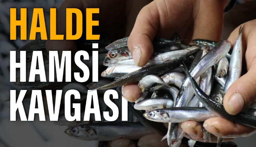Gürpınar Balık Hali’nde balıkçılar ve halciler arasında fiyat gerginliği bir neticeye bağlanmadan sona erdi