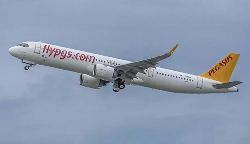 Havada panik: Pegasus uçağı acil iniş yaptı