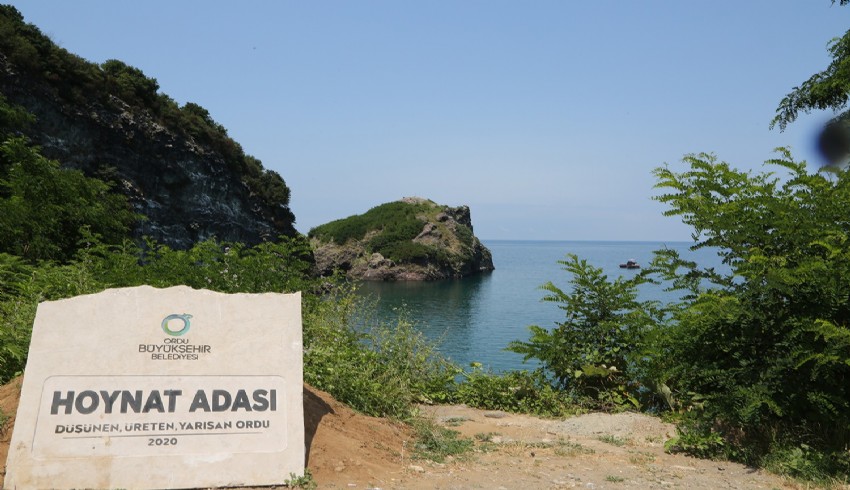 Hoynat Adası tepeli karabatak kuşlarının yuvası oldu