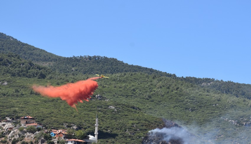 İzmir'in iki ilçesinde orman yangını
