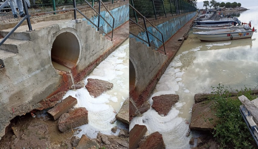 İzmit Körfezi'ne dökülen atık suyla ilgili inceleme başlatıldı