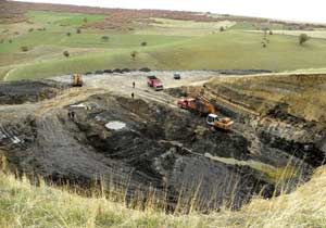Güney Koreliler Develi'ye hücum etti