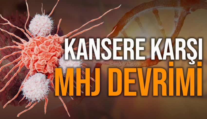 Kemoterapiye alternatif kanser tedavisi bulundu