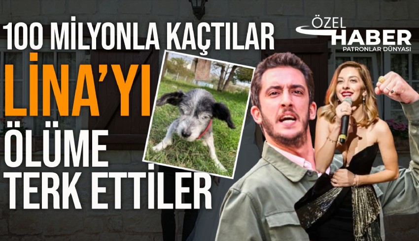 Kıvanç Talu ve eşi Beril Talu, 100 milyonla kaçtılar, köpekleri Lina'yı ölüme terk ettiler