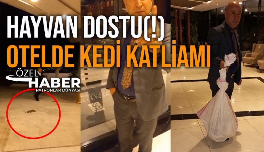 Kuşadası'nda 'hayvan dostu' diye kendini tanıtan termal otelin lobisine sığınan kediler yönetimin talimatıyla katledildi.