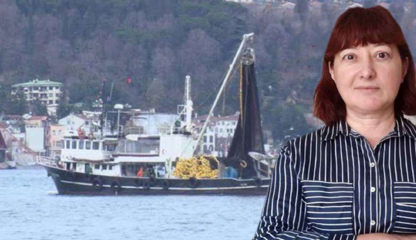 Marmara Denizi'nin ekosistemi için yeni tehlike: Gırgır avı sınırlanmalı