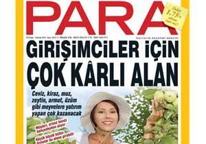 Bu meyvelere yatırım yapan kazanacak