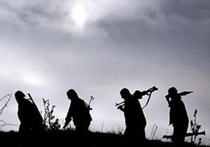 Banka uyandı dağdakiler havasını aldı
