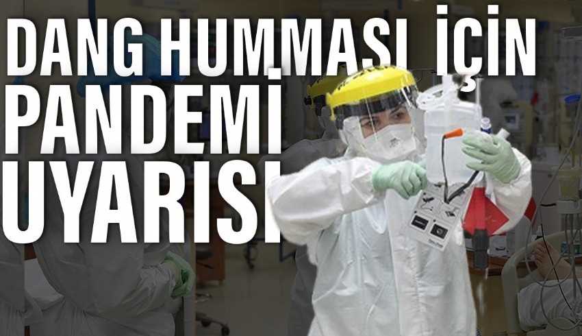 Sağlık Bakanlığı, Dang humması için seyahat edenleri uyardı. Türkiye'deki durum ne? Bu soruyu Prof. Dr. Mehmet Ceylan yanıtladı.