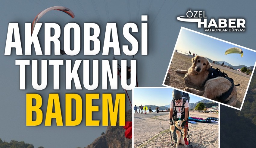 Badem isimli köpek, sahibiyle yamaç parüşütü yapmaya bayılıyor.  23. Uluslararası Ölüdeniz Hava Oyunları Festivali'nde atlayış yapan Badem ilgi odağı oldu