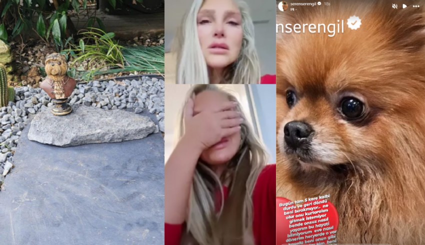 Seren Serengil köpeği Noynoy'un ölümüyle sarsıldı