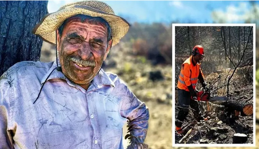 Siyahı yeşile dönüştüren ormancılar 4 milyon fidan dikti