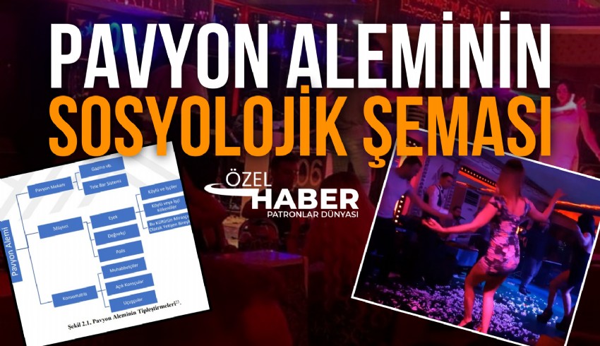 Sosyolog Coşkun Sağlık, pavyonlarla ilgili 1.5 yıl süren araştırmasında az bilinen bilgilere yer verdi