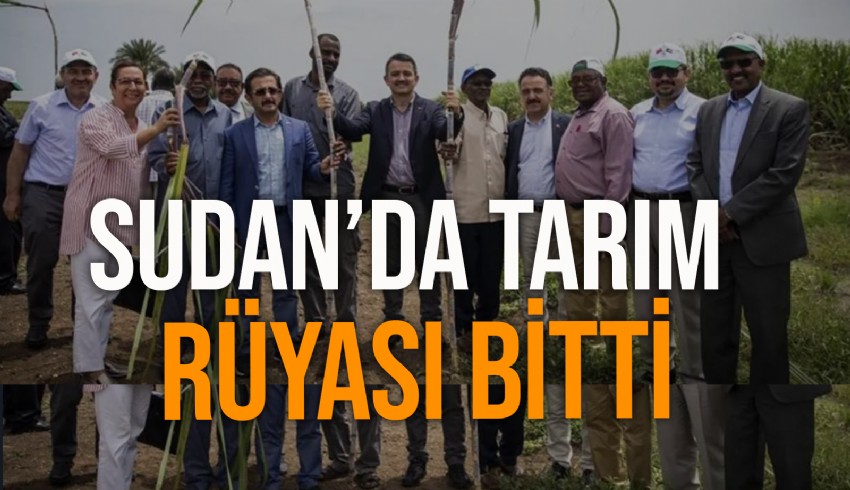 Sudan'da tarım macerası sona erdi: İşte 10 yıllık hikâyesi...