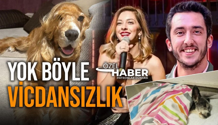 Talu çifti Lina’yı ölüme, 3 köpek ve bir kediyi pet otele terk etti, sahiplendikleri Doly’yi başkasına verdi