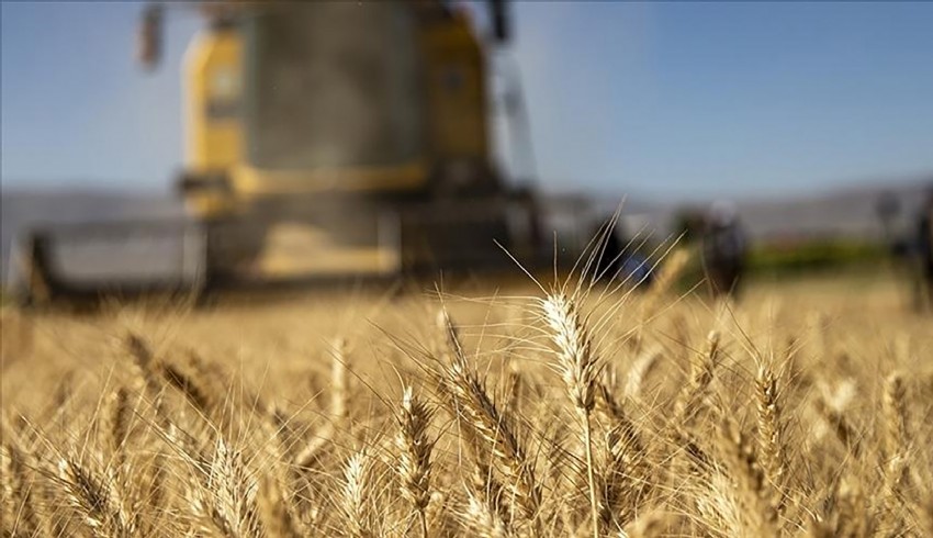 Tarımsal girdi fiyat endeksi eylülde aylık yüzde 2,63 arttı