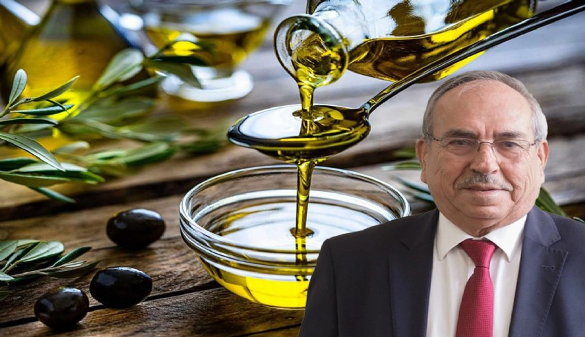 TARİŞ Başkanı: Tüketici bütçesine göre zeytinyağı yiyebilecek