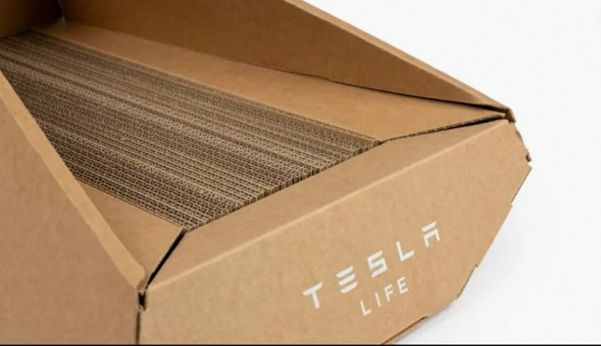 Tesla'nın kedi yatağı ilgi çekti