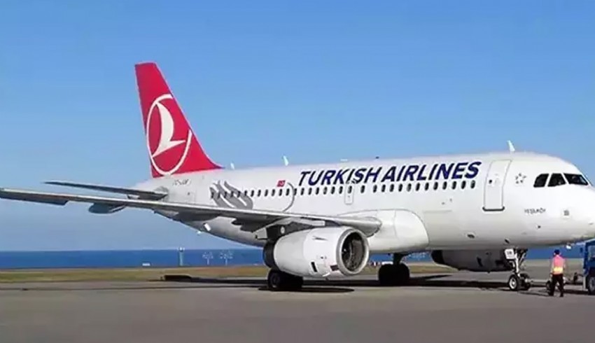 THY uçağı kabindeki kedi nedeniyle pist başından geri döndü