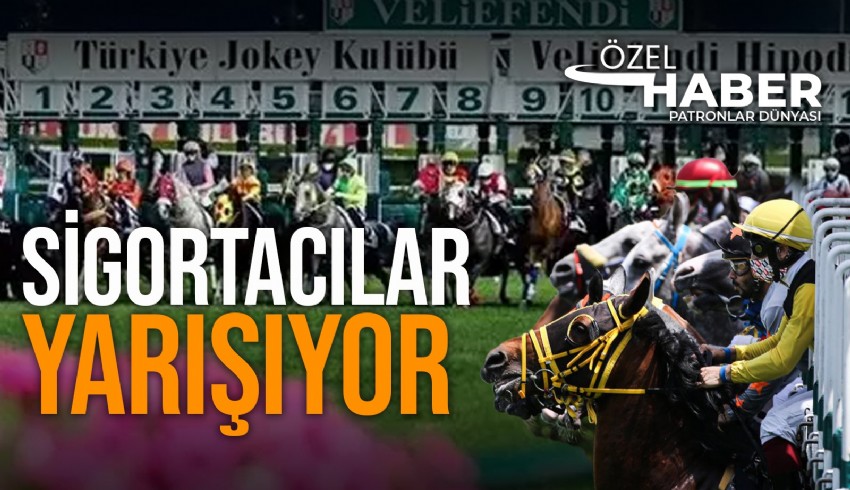 TJK 9 milyar 337 milyon liralık - yaklaşık 270 milyon 420 bin dolarlık- varlığını sigortalatmak için ihaleye çıktı