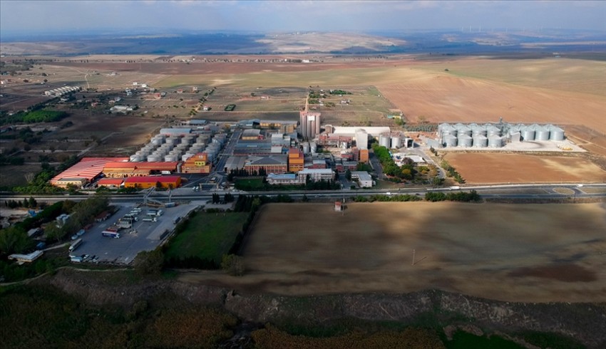 Trakya Birlik, yeni yatırımlarla ayçiçeği yağı üretim tesislerini genişletiyor