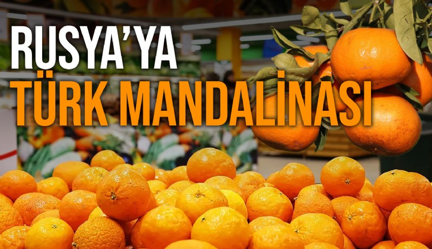 Türkiye’nin, Rusya'nın ana mandalina tedarikçisi olduğunu yazdı. 