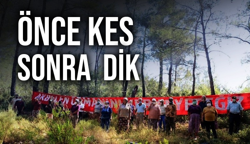 Türkiye Ormancılar Derneği Başkanı Ahmet Hüsrev Özkara, "Ağaçları kesiyoruz ama yerine yenisini dikiyoruz" anlayışına tepki gösterdi