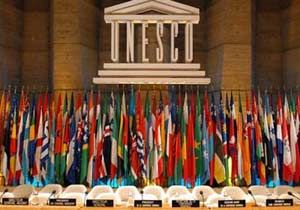 'Türkiye'de 15 dil tehlikede'