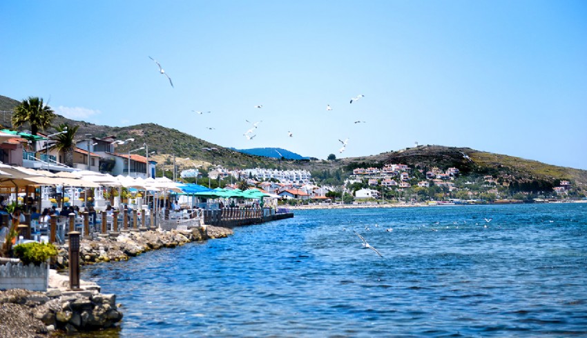 Urla'da seçim öncesi denize sıfır 33 dönüm arazi kayyumdan kiralık