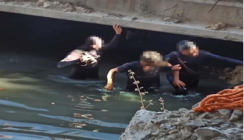 Veliefendi yangınlarının şüphelisi işten atılan seyis çıktı