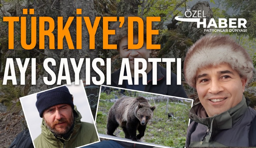 Yaban hayatı uzmanından uyarılar: Ayıyla karşılaşınca ne yapacaksınız? Selfie çekmeye çalışmayın